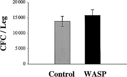 Figure 2. Comparison of progenitor numbers in wild-type and WASP-deficient bone marrow. The number of progenitors is the same in the bone marrow of wild-type and WASP-deficient mice. Bone marrow cells from wild-type (gray column) or WASP-deficient (black column) mice were cultured in methylcellulose in the presence of IL-3, TPO, and EPO. After 8 days at 37°C in an atmosphere of 5% CO2 in air, the erythroid, megakaryocytic, and granulo-macrophagic colonies were counted under an inverted microscope. Results shown are mean ± SD of 3 independent experiments.