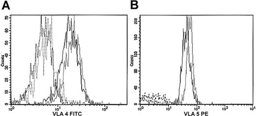 Figure 4. Expression of VLA-4 and VLA-5 in Lin–Sca+c-kit+ cells. Lin– cells were first purified by depletion of Lin+ cells. Lin– cells were labeled with antibodies against Sca-1, c-kit, VLA-4, VLA-5, or their isotype controls. VLA-4 expression was studied with an FITC-conjugated antibody (panel A); VLA-5 was studied with a PE-conjugated antibody (panel B). Black indicates 129Sv; gray, WASP-deficient; plain line, specific antibody; dotted line, isotype control.