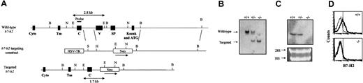 Figure 1. Inactivation of the b7-h2 gene locus. (A) Partial restriction map of the wild-type b7-h2 locus, the targeting construct, and the inactivated locus after homologous recombination (restriction enzymes: B indicates BamHI; E, EcoRI; H, HindIII; N, NcoI; S, SalI). Exons coding for the different domains of the B7-H2 protein (Cyto indicates cytoplasmic tail; Tm, transmembrane; C, Ig constant region–like; V, Ig variable region–like; SP, signal peptide) are indicated together with the external probe used to screen ES cells and mice, which distinguishes the 2.8-kb wild-type and 1.7-kb targeted loci. (B) Southern blot analysis of EcoRI-digested liver DNA from wild-type (+/+), heterozygous (+/–), and homozygous (–/–) B7-H2 knockout mice using the external probe. (C) Northern blot analysis using full-length B7-H2 cDNA as probe of splenic RNA prepared from wild-type, heterozygous, and homozygous B7-H2 knockout mice. (D) Flow cytometry analysis of surface B7-H2 expression on splenocytes of wild-type (top panel) and B7-H2–/– (bottom panel) mice gated on CD19+CD3– cells. The thin line indicates cells that were stained with the isotype-matched control antibody, while the bold line indicates cells that were stained with the PE-conjugated anti–B7-H2 antibody. Vertical line indicates mean fluorescence intensity (MFI).