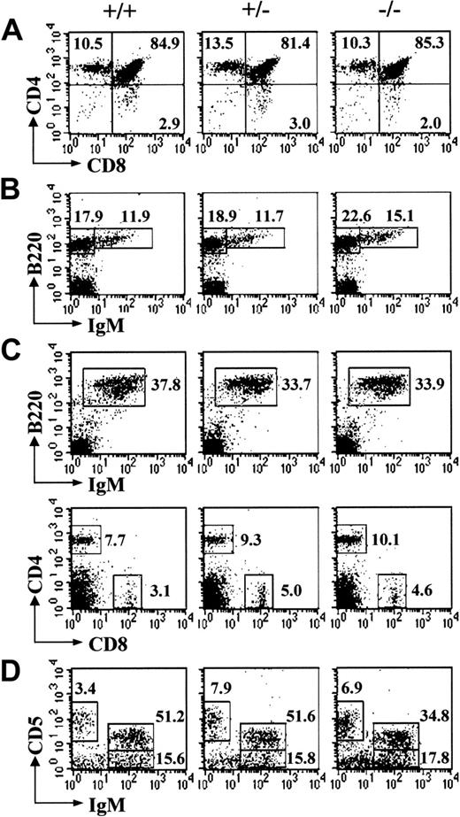Figure 2. Normal B- and T-cell development in B7-H2–/– mice. Flow cytometry analyses of B- and/or T-cell populations in the (A) thymus, (B) bone marrow, (C) spleen, and (D) peritoneal cavity of wild-type, heterozygous, and homozygous B7-H2 knockout mice. Numbers indicate the percent of lymphocytes. Data shown are representative of 5 independent experiments.