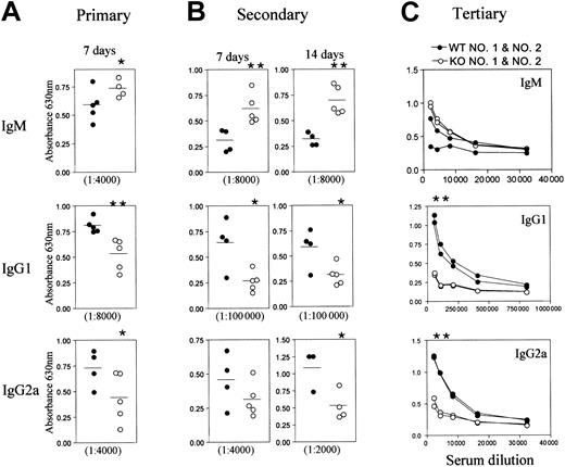 Figure 5. Impaired secondary and tertiary immune responses to a T-cell–dependent antigen in B7-H2–/– mice. Wild-type (•) and mutant (○) mice were immunized with 100 μg alum-precipitated T-cell–dependent antigen NP-CG for the primary response (A), reboosted 30 days later with 5 μg of the antigen for the secondary response (B), and reboosted 60 days after the initial immunization for the tertiary response (C). Sera were collected from the mice 7 days after the primary immunization, 7 and 14 days after the secondary, and 5 days after the tertiary challenges. NP-specific antibodies of the IgM, IgG1, and IgG2a classes were quantified. The value for each mouse was plotted, and the dilution of the immune sera was indicated. Preimmune sera were negative for the antigen-specific antibodies and were not shown. Statistical significance was established using a paired 2-tailed Student t test, * indicates P < .1 and ** indicates P < .01. The asterisks for the tertiary response are applicable only to the 3 lowest serum dilutions in each graph. Horizontal bars indicate the mean.