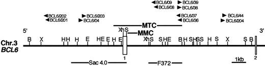 Figure 2. Restriction enzyme maps of the BCL6. The major translocation cluster (MTC) of the BCL6 and the major mutation cluster (MMC) were as determined by Bastard et al27 and Bernardin et al,51 respectively. F37227 and Sac 4.032 are probes for Southern blot analysis. Arrowheads are the positions of primers for LDI-PCR. Restriction sites are as follows: E represents, EcoRI; B, BamHI; H, HindIII; X, XbaI; S, SacI; Xh, XhoI.
