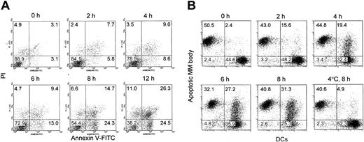 Figure 3. Immature DCs phagocytose apoptotic MM bodies. (A) U266 cells were irradiated and stained with annexin-V–FITC and PI after 0, 2, 4, 6, 8, and 12 hours incubation at 37°C. Early apoptotic cells were defined as annexin-V–FITC+ and PI– using flow cytometry. Results are representative of experiments with 3 MM cell lines. (B) U266 cells labeled red with Vybrant Dil Cell-Labeling Solution were incubated 4 hours at 37°C after 30-Gy irradiation to allow apoptosis to occur and then were cocultured with immature DCs stained green with Vybrant DiO Cell-Labeling Solution at a ratio of 1:1 for 0, 2, 4, 6, and 8 hours at 37°C or 4°C. Cells were analyzed by flow cytometry and double-positive cells indicate uptake of apoptotic cells by immature DCs. Culturing at 4°C blocked phagocytosis of apoptotic bodies by immature DCs.