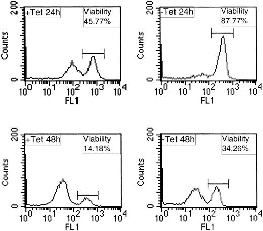 Figure 3. Expression of TEL/PDGFβR protects BaF/3 from apoptosis following IL-3 withdrawal. BaF/3 clone TP2 was incubated in the presence (+ Tet) or absence (– Tet) of 2 μg/mL Tet for 24 hours, washed, and incubated for a further 24 or 48 hours (+ or – Tet) with no IL-3. Cells were stained for 15 minutes with 10 nM Di0C6 and 10 000 events were analyzed per sample by FACS on FL1 channel.