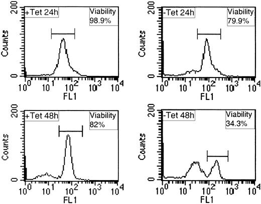 Figure 5. Expression of TEL/PDGFβR increases apoptosis in the presence of IL-3. BaF/3 clone TP2 was incubated in the presence (+ Tet) or absence (– Tet) of 2 μg/mL Tet for 24 hours, washed, and incubated for a further 24 or 48 hours (+ or – Tet) with 20 pg/mL IL-3. Cells were stained for 15 minutes with 10 nM Di0C6 and 10 000 events were analyzed per sample by FACS on channel FL1.
