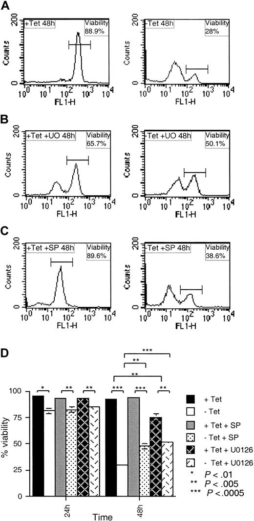 Figure 9. Inhibition of ERK and JNK MAPKs partially protects cells from apoptosis induced by the combination of IL-3 and TEL/PDGFβR signals. Cells were incubated in the presence (+ Tet) or absence (– Tet) of 2 μg/mL Tet for 24 hours, washed, and incubated for a further 24 or 48 hours (+ or – Tet) with (A) 20 pg/mL IL-3, (B) 20 pg/mL IL-3 with 10 μM U0126, or (C) 20 pg/mL IL-3 with 5 μM SP600125. Cells were stained for 15 minutes with 10 nM Di0C6 and 10 000 events analyzed per sample by FACS on channel FL1. (D) Bar chart summarizes the effects of TEL/PDGFβR expression on IL-3–induced survival in the presence of U0126 and SP600125. Data from 4 independent experiments using clones TP2 and TP15 were used. Mean and SEM are plotted for each treatment and 2-tailed paired Student t tests were applied to the data and values of significance indicated (P).