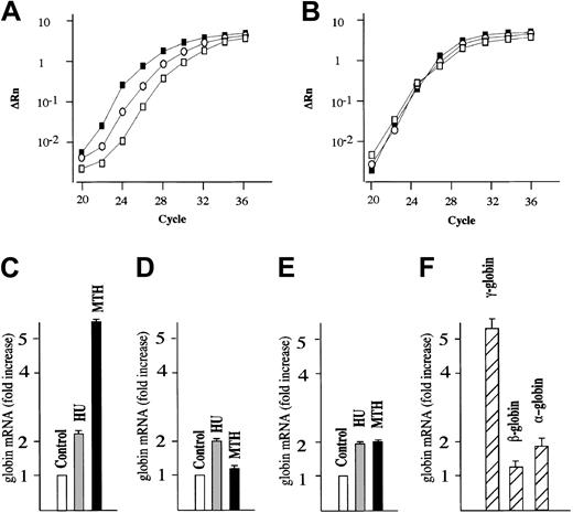 Figure 1. Quantitative RT-PCR analysis of globin mRNAs from normal human erythroid cultures. (A-B) Normal erythroid precursors were harvested from untreated control cultures or cultures treated with either 150 μM HU or 20 nM MTH. Total RNA was reverse transcribed and 50 ng used for PCR amplification. For each sample, the ΔRn for γ-globin (A) or GAPDH (B) is plotted against the cycle number. □ indicate RNAfrom control untreated cultures; ○, RNA from HU-treated cultures; and ▪, RNA from MTH-treated cultures. (C-E) The data obtained were analyzed using the Sequence Detection Software System 1.6.3, and the fold increase of γ-globin (C), β-globin (D), and α-globin (E) mRNA in cultures treated with HU or MTH compared with untreated cultures (taken as 1) was calculated. Data were derived from quantitative RT-PCR plots using GAPDH mRNA as reference and expressed as average ± SD of 4 independent RT-PCR analyses on a same donor sample (P < .001 when data from panel C of MTH-treated cells are compared with those of HU-treated or untreated control cells). (F) Fold increase of γ-globin, β-globin, and α-globin mRNA in cultures treated with MTH compared with untreated cultures. Data were derived from quantitative RT-PCR plots using GAPDH mRNA as reference and expressed as average ± SD of 5 independent experiments using different human donors (P < .001 when data of γ-globin mRNA content are compared with either β-globin mRNA or α-globin mRNA content).