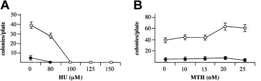 Figure 3. Effects MTH on growth of erythroid and myeloid cultures. Mononuclear cells derived from normal bone marrow were cultured in semisolid medium in the presence of the indicated concentrations of HU (μM) (A) or MTH (nM) (B). The medium contained either 1 U/mL EPO for development of erythroid colonies (○) or 10% (vol/vol) 5637 cell–conditioned medium for development of myeloid colonies (▪). Colonies of 50 or more cells were counted after 14 days of incubation under an inverted microscope. The results represent the number of colonies per plate (average ± SD of 3 independent experiments).