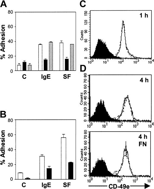 Figure 2. IgE alone stimulates the adhesion of BMMCs to FN via an increase in the avidity of VLA-5. (A) Adhesion of normal BMMCs to FN in response to assay medium alone (C), 1 μg/mL IgE, or 5 ng/mL SF in the absence (□) or presence of 400 μg/mL RGD-containing peptide (▪)or400 μg/mL control RGE-containing peptide (▨) for 15 minutes. Adhesion in response to IgE and IgE + RGE peptide, but not IgE + RGD peptide, was significantly (P < .05) different from control values. (B) Adhesion of BMMCs to FN in response to assay medium alone (C), 0.5 μg/mL IgE, or 5 ng/mL SF for 15 minutes in the absence (□) or presence (▪)of40 μg/mL anti-CD49e added 30 minutes prior to stimulation. Adhesion was significantly (P < .05) different between control (C) and all stimulated samples as well as between stimulated and stimulated + anti-CD49e–treated samples. Results shown are the mean ± SEM of triplicate determinations and similar results were obtained in 3 (A) and 3 (B) separate experiments. BMMCs were incubated on (C) BSA for 1 hour or (D) BSA for 4 hours (top panel) or on FN for 4 hours (bottom panel) in the absence (solid line) or presence (dashed line) of 2 μg/mL IgE. The cells were then stained with anti-CD49e antibody (1 μg/5 × 105 cells) for 30 minutes at 4°C and analyzed by FACS. The blackened area profiles were obtained with isotype control antibody.