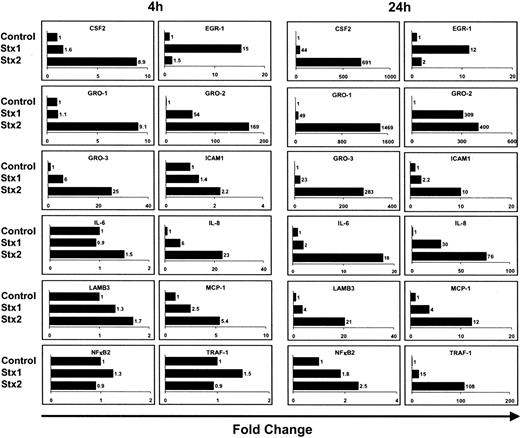 Figure 4. Quantification of gene expression by real-time RT-PCR. Quantitative real-time RT-PCR of 12 genes was performed after 4 hours and 24 hours of incubation with Stxs. Data shown were obtained from 2 independent experiments. CSF2 indicates colony-stimulating factor 2 (granulocyte-macrophage); EGR-1, early growth response 1; GRO-1, GRO-1 oncogene; GRO-2, GRO-2 oncogene; GRO-3, GRO-3 oncogene; ICAM1, intercellular adhesion molecule-1; IL-6, interleukin 6; IL-8, interleukin 8; LAMB3, laminin beta 3; MCP-1, monocyte chemotactic protein 1; NFκB2, nuclear factor of kappa light polypeptide gene enhancer in B cells 2; and TRAF-1, TNF receptor–associated factor 1.