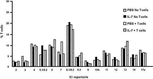 Figure 5. IL-7 treatment does not skew the T-cell repertoire. Following T-cell–replete and TCD BMT, the Vβ repertoire was evaluated at day 70 for PBS-treated (▨, □) and IL-7–treated (▪, ▤) recipients. Percentages per Vβ type are expressed as percentage of all Vβ types per treatment modality.