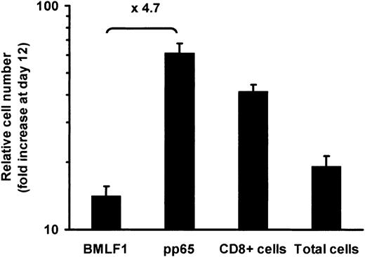 Figure 3. Expansion of BMLF1- and pp65-specific CD8+ T cells from day 0 to day 12. BMLF1-specific, pp65-specific, CD8+, and total cell numbers were calculated from the percentage of tetramer+ and CD8+ cells and from cell numeration from day 0 to day 12 (mean ± SE, n = 8). The mean ratio of pp65-specific CD8+ T-cell expansion to BMLF1-specific CD8+ T-cell expansion is indicated on the graph.