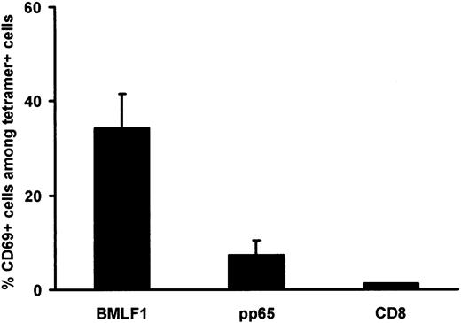 Figure 6. CD69 expression by BMLF1- and pp65-specific CD8+ T cells at initiation of culture. Percentage of CD69+ cells within BMLF1-specific, pp65-specific, and total CD8+ T cells. Staining was performed on PBMCs from EBV- and CMV-seropositive HLA-A2 donors (mean ± SE, n = 5).
