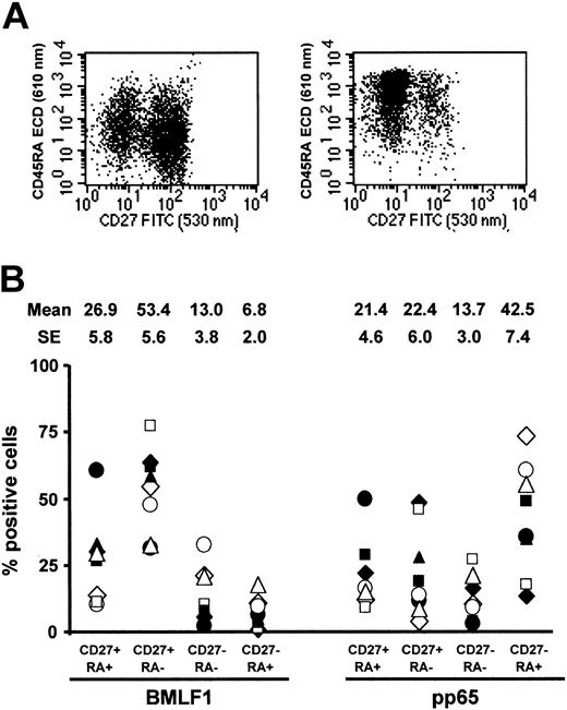 Figure 8. CD45RA and CD27 coexpression by BMLF1- and pp65-specific CD8+ T cells. (A) Representative profiles of CD45RA and CD27 coexpression by BMLF1 tetramer+ (left) and pp65 tetramer+ (right) CD8+ cells. (B) Percentage of CD45RA+CD27+, CD45RA–CD27+, CD45RA–CD27–, and CD45RA+CD27– cells among BMLF1- and pp65-specific CD8+ T cells from 8 EBV- and CMV-seropositive HLA-A2 donors.