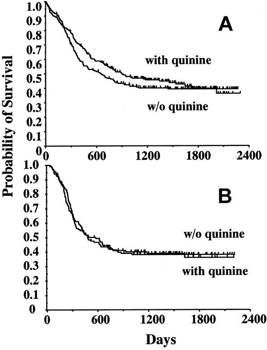 Figure 1. Disease-free survival according to treatment arms. (A) DFS of the 344 patients in whom complete remission was obtained, depending on initial randomization (without quinine, n = 171; with quinine, n = 173). (B) DFS of the 262 patients who were assigned to intensive consolidation therapy, without or with quinine according to initial randomization (without quinine, n = 134; with quinine, n = 128).