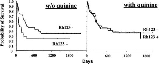 Figure 2. Event-free survival according to rhodamine 123 (Rh123) efflux. Of 160 studied patients, 54 demonstrated Rh123 efflux, of whom 29 were randomized in the quinine arm, and 106 were scored Rh123 negative, of whom 53 received quinine. The differences in EFS observed in the absence of quinine (without quinine: Rh123+, n = 25; Rh123–,n = 53) do not reach statistical significance.