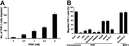 Figure 12. Dose-dependent effect of PlGF on the chemotaxis of THP-1 monocytes. (A) THP-1 cells (5 × 103 cells) were added to the upper compartment of a Neuro Probe chemotaxis chamber. The indicated concentrations of either PlGF and/or MCP-1 were added to the lower compartments, the chambers were incubated for 2 hours at 37°C, and then the migrated cells were stained and counted as described in the text. Results show mean ± SD of 4 independent experiments. (B) For inhibitor studies, THP-1 monocytes were pretreated with the respective pharmacologic inhibitors or antibody for 30 minutes. THP-1 cells transfected with the dominant-negative mutants of AKT and PI3 kinase were also used for the chemotaxis assay.
