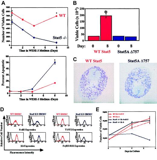 Figure 1. Stat5 deficiency reduces survival and proliferation of developing mast cells. (A) Wild-type and Stat5-deficient bone marrow cells were cultured for the indicated times in WEHI-3CM. Live cell number and percent apoptotic cells were determined by assessing subdiploid DNA content with PI-DNA staining, using timed flow cytometry counts. (B) Wild-type bone marrow cells were infected with MSCV-based bicistronic retrovirus expressing either wild-type Stat5A or Stat5A Δ757 and an IRES-translated GFP. GFP-positive cells were isolated by cell sorting and cultured in IL-3 (5 ng/mL) + SCF (50 ng/mL). Viable cell numbers were determined by trypan blue exclusion. *P < .05 when comparing cells expressing wild-type Stat5A and Stat5 Δ757 by Student t test. (C) Toluidine blue staining of wild-type bone marrow cells expressing either wild-type Stat5A or Stat5A Δ757, after 21 days of culture in IL-3 + SCF. Final magnification shown is × 1000. (D) Expression of mast cell surface antigens on wild-type and Stat5-deficient BMMC populations after culture in IL-3 (5 ng/mL) + SCF (50 ng/mL) for 21 days. (D) Survival and proliferation of wild-type and Stat5-deficient BMMCs in IL-3 (5 ng/mL) + SCF (50 ng/mL) or in IL-3 alone (5 ng/mL). Cells were cultured in the indicated conditions and fed on day 4 of culture. PI-DNA staining with timed flow cytometry counts was used to compare numbers of viable cells. *P < .05 when comparing wild-type and Stat5-deficient cells under identical conditions by Student t test.