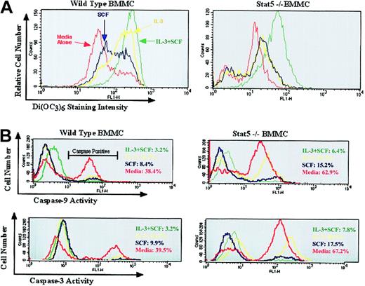 Figure 4. Loss of Stat5 accentuates mitochondrial damage and caspase activation. (A) Wild-type or Stat5-deficient BMMCs were cultured in IL-3 (0.02 ng/mL), SCF (10 ng/mL), or IL-3 (5 ng/mL) + SCF (50 ng/mL) for 48 hours, and assessed for changes in mitochondrial membrane potential by Di(OC6)3 staining. Data shown are representative of at least 3 wild-type and Stat5-deficient populations assessed in 3 independent experiments. (B) Cells were cultured as in panel A for 24 hours and assessed for caspase-9 or caspase-3 activation. Numbers on the right of each histogram indicate means of 4 samples from one experiment. Data shown are representative of 2 independent experiments.