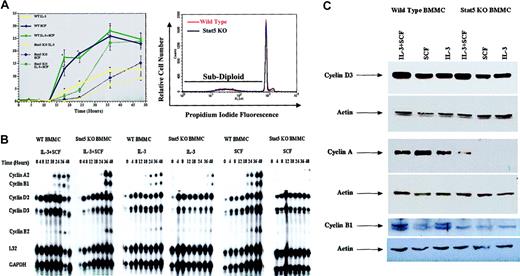 Figure 5. Stat5-deficient (Stat5 KO) BMMCs exhibit delayed cell cycle progression and cyclin up-regulation. (A) Wild-type or Stat5-deficient BMMCs were cultured in IL-3 (5ng/mL), SCF (50ng/mL), or IL-3 + SCF for the indicated times, and assessed for S-phase progression by PI/BrdU staining. Data shown are means and standard error values from 6 to 9 measurements taken from 5 independent experiments. *P < .001 when comparing wild-type and Stat5-deficient cells under identical conditions. The lower panel shows a representative PI-DNA staining profile for BMMCs cultured in IL-3 alone for 48 hours. Under these conditions, subdiploid content (apoptotic cells) represented approximately 5% of wild-type or Stat5-deficient populations. (B-C) Cells were cultured as in panel A for the indicated times (B) or for 36 hours (C). Total cellular RNA or protein was assessed for cyclin expression by RPA analysis (B) or Western blot analysis (C). Western blots were stripped and reprobed for actin expression to show equal protein loading.