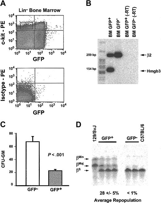 Figure 4. Hmgb3 expression correlates with long-term repopulating ability. (A) Separation of Lin– c-kitHI Hmgb3-KI bone marrow cells into GFP+ and GFP– populations by flow cytometry (top). Sort gates were based on isotype controls (bottom). (B) Duplex RT-PCR performed on RNA isolated from sorted Hmgb3-KI bone marrow (BM) cells sorted into GFP+ and GFP– populations. RT-PCR performed without RT (–RT) was used for a negative control. β2-microglobulin cDNA amplification was used as an internal control. The amplicon sizes are 154 bp and 258 bp for Hmgb3 and β2-microglobulin, respectively. (C) Mean CFU-GM frequencies in Lin–, c-kit+, GFP– (n = 3, 202 colonies counted), and GFP+ (n = 3, 69 colonies counted) populations. Colony-forming assays were performed as described in “Materials and methods.” P values were determined by Student t test. (D) Representative hemoglobin analysis of competitive repopulation of Lin–, c-kitHI, GFP+ versus GFP– cells. Repopulations were performed with mixed doses of either 30 000 Lin–, c-kitHI, GFP+ (n = 5) or 50 000 Lin–, c-kitHI, GFP– (n = 5) and 107 C57BL/6 bone marrow as described in “Materials and methods.” 129/SvJ and C57BL/6 hemoglobin served as assay controls. The βMin, βMaj, (129/SvJ) and βS (C57BL/6) hemoglobins are indicated by black arrows. The average erythroid repopulation by Hmgb3-KI bone marrow (determined as percentage of total Hb that is of 129/SvJ genetic origin) for each population is underneath their respective samples accompanied by the standard deviation. Hb levels were quantified by densitometry.