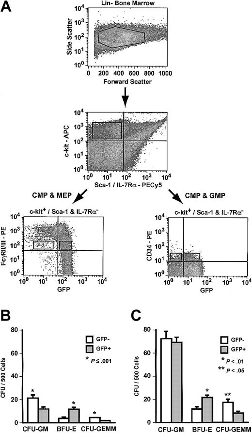 Figure 6. Analysis of Hmgb3 expression in myeloid progenitors (MP). (A) Isolation of myeloid progenitors by flow cytometry. Upper: Lin– bone marrow isolated from Hmgb3-KI mice. Middle: c-kit and Sca-1/IL-7Rα expression in Hmgb3-KI Lin– bone marrow. Cells positive for c-kit and negative for Sca-1/IL-7Rα were selected based on isotype controls (not shown). Lower: c-kit+/Sca-1 and IL-7Rα– cells were stained with either anti-FcγRII/III or CD34 monoclonal antibodies as described in “Materials and methods.” Left: FcγRII/III and GFP expression in Hmgb3-KI Lin– c-kit+/(Sca-1/IL-7Rα)– cells. Right: CD34 and GFP expression in Hmgb3-KI Lin– c-kit+/(Sca-1/IL-7Rα)– cells. Sort gates were drawn based on isotype controls (not shown). (B) Mean CFU-GM, BFU-E, and CFU-GEMM frequency in FcγRII/IIILO GFP– (n = 6) and GFP+ (n = 6) MP populations. Values were determined by scoring CFU-GM, BFU-E, and CFU-GEMM colonies per 500 cells cultured. P values were determined by Student t test. (C) Mean CFU-GM, BFU-E, and CFU-GEMM frequency in CD34+ GFP– (n = 5) and GFP+ (n = 4) MP populations. Values were determined by scoring CFU-GM, BFU-E, and CFU-GEMM colonies per 500 cells cultured. P values were determined by Student t test.
