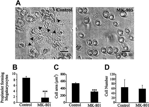 Figure 2. Effects of MK-801 on proplatelet formation, cell size, and cell number. (A) The number of proplatelet structures (arrowheads) was significantly reduced by the addition of 50 μM MK-801 (right panel), compared with the controls (left panel; quantified in panel B) (***P < .001, n = 60, mean of 3 independent experiments). (C) Cells treated with MK-801 were approximately half the size of the controls as demonstrated by image analysis of cell cytospin preparations (***P < .005, n = 300, mean of 2 independent experiments). (D) Addition of MK-801 has no significant effect on total cell number.