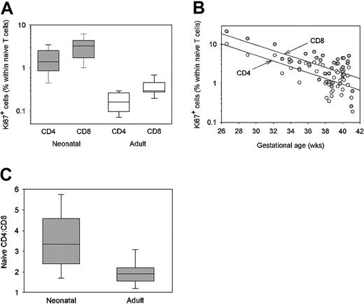 Figure 2. Proliferation of postthymic T cells in neonates and young adults. Lymphocytes were isolated from 39 cord blood samples from newborns of 26 to 41 weeks gestation and 15 healthy young adults. T cells in the cell cycle were identified by the expression of the Ki67 nuclear antigen by flow cytometric analysis of CD4+CD45RO– (naive) and CD8+CD45RO– T cells. Results in the adults (open boxes) and the full-term infants (shaded boxes) are shown as box plots. Frequencies of Ki67-expressing naive T cells were 10-fold higher in the infants than in the adults. The CD8+ T-cell subset included a higher proportion of Ki67+ cells in neonates (P < .001) and adults (P = .006) compared with CD4+ T cells (A). Frequencies of Ki67+ cells within the CD4+CD45RO– (open circles) and CD8+CD45RO– cells (filled circles) T-cell populations are given in correlation to the gestational ages of the neonates. Proliferation rates of cord blood CD4+ and CD8+ T cells were highest during the early phase of the third trimester and exponentially declined to maturity (R = 0.81 for CD4+ T cells; R = 0.79 for CD8+ T cells). The number of cycling cells remained elevated in full-term infants compared with adults. Frequencies of Ki67+CD45RO–CD8+ T cells were always higher than in their CD4+ counterparts (B). The ratio of CD4+CD45RO– and CD8+CD45RO– T cells was determined by flow cytometry in lymphocytes isolated from cord blood or peripheral blood of young adults. CD4+ T cells outnumbered CD8+ T cells in newborns and adults, but the ratios were significantly different (P < .001), with a relative reduction of CD4+ T cells over the first 2 decades of life (C).