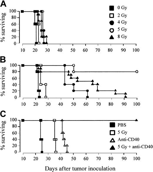 Figure 1. Combination but not single-agent treatment results in long-term protection against lymphoma. (A-B) Groups of 5 age-matched CBA mice were inoculated with 106 A31 tumor cells intravenously on day 0 and were treated with either (A) external beam TBI (single dose of 2 to 8 Gy at a rate of 1.15 Gy/min) plus PBS or (B) TBI plus anti-CD40 monoclonal antibody (1 mg, intravenously, giving the mAb 4 hours after irradiation). Treatment was as indicated. (C) Groups of 5 age-matched BALB/c mice were inoculated with 106 BCL1 lymphoma cells on day 0 and were treated with 5 Gy TBI with or without anti-CD40 (100 μg, intravenously) on day 15. All animals were fed acidified water substituted with neomycin sulfate starting 3 days prior to irradiation and continuing for a further 2 weeks. Survival was recorded daily. There is a clear radiation dose–dependent increase in survival treating with combined TBI and anti-CD40, with 5 Gy plus mAb, but not single treatment regimens, providing long-term survival against both lymphoma lines. Similar results were obtained in at least 2 separate experiments.
