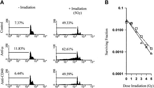 Figure 3. Radiation does not sensitize lymphoma to direct anti-CD40 cytotoxicity. (A) The πBCL1 lymphoma cells either left untreated or treated with 5 Gy external beam irradiation were cultured for 72 hours in 24-well plates coated with mAb (5 μg/mL) with specificity as indicated. Cells were then harvested, stained with PI to detect DNA content, and analyzed by flow cytometry. Gated regions indicate the percentage of sub-G1 fragmented DNA, indicative of apoptosis. There was a clear additive effect between irradiation and mAb to the B-cell receptor (BCR) but not between irradiation and anti-CD40 mAb. (B) Clonogenic survival of πBCL1 treated with external beam radiation (0 to 5 Gy) in the presence of control (□) or anti-CD40 mAb (as before; ▵). While there was a clear difference in survival over the range of radiation doses, addition of anti-CD40 mAb did not significantly affect clonogenic survival.