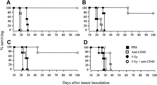 Figure 4. A critical dose of tumor antigens is required for long-term eradication of tumor. Groups of 4 CBA mice were inoculated with (A) 106, (B) 105, (C) 104, or (D) 103 A31 lymphoma cells, intravenously on day 0, and were treated on day 10 with either 5 Gy TBI, anti-CD40 mAb (1 mg intravenously), or a combination of the two, as before. Controls received PBS. Survival was recorded daily. Length of protection correlated to tumor burden, with long-term survival completely lost at an inoculating dose of 103 lymphoma cells. Shown is 1 of 2 similar experiments.