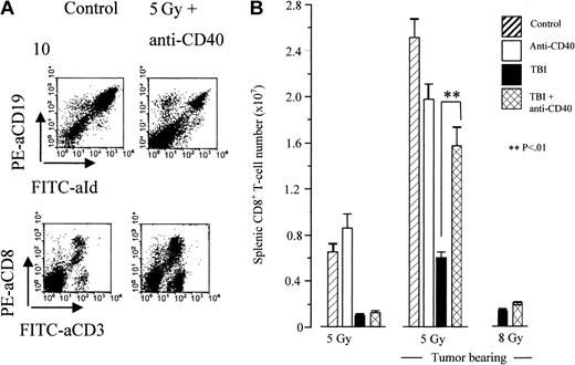 Figure 6. Combination therapy results in expansion of CD8 T cells in tumor-bearing animals. Tumor-bearing (106 A31 cells, intravenously, day 0) CBA mice were treated on day 10 with TBI and anti-CD40 mAb (1 mg intravenously) according to the standard protocol. Naive (nontumor-bearing) mice were treated at the equivalent time point. Animals were killed 5 days after treatment, spleens removed, and the presence of tumor and CD8 T cells determined by 2-color flow cytometry using FITC-labeled anti-Id versus PE-labeled anti-CD19 and using FITC-labeled anti-CD3 versus PE-labeled anti-CD8, respectively (A). The actual number of CD8 T cells present in the spleen following each treatment was then calculated (B). Shown is the mean for triplicate animals. Error bars represent SEM. Similar results were obtained in at least 3 separate experiments. A 10-fold expansion of CD8 T cells in tumor-bearing mice over naive animals was observed following combination therapy with 5 Gy TBI. This expansion did not occur at higher (8 Gy) or lower doses (2 Gy; data not shown).