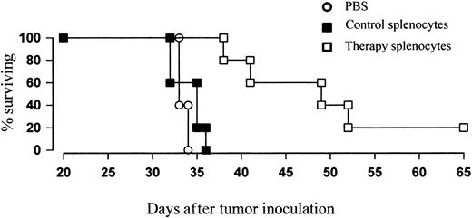 Figure 9. Adoptive transfer of T cells from treated mice can protect naive recipients against lymphoma growth. BALB/c mice were inoculated with tumor and treated with 5 Gy TBI and anti-CD40 mAb (100 μg intravenously) as before. Four days after treatment just prior to the peak of the primary immune response, splenocytes were harvested, CD19+ cells depleted by MACS, and remaining T cells coinjected into naive recipients together with fresh lymphoma cells at an E/T ratio of 100:1 (CD8+ cells/T). Controls received either PBS or tumor plus CD19-depleted splenocytes from untreated mice. Survival was recorded daily. Mice that received adoptively transferred “peak” T cells showed a significant enhancement in protection over controls (P < .01).