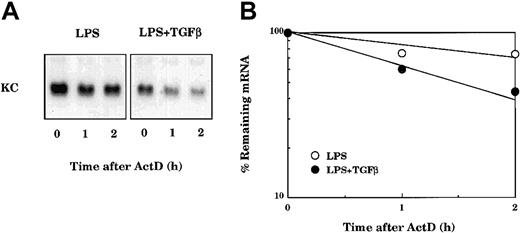 Figure 5. TGFβ blocks LPS-mediated stabilization of KC mRNA. (A) TG-elicited macrophages were stimulated with LPS (10 ng/mL) in the presence or absence of TGFβ (20 ng/mL) for 3 hours. Each culture was subsequently treated with ActD (5 μg/mL), and at the indicated times cultures were used to prepare total RNA for analysis of KC mRNA by Northern hybridization (B). The autoradiographs were quantified using the IMAGE software from the National Institutes of Health (NIH, Rockville, MD). Similar results were obtained in 2 separate experiments.
