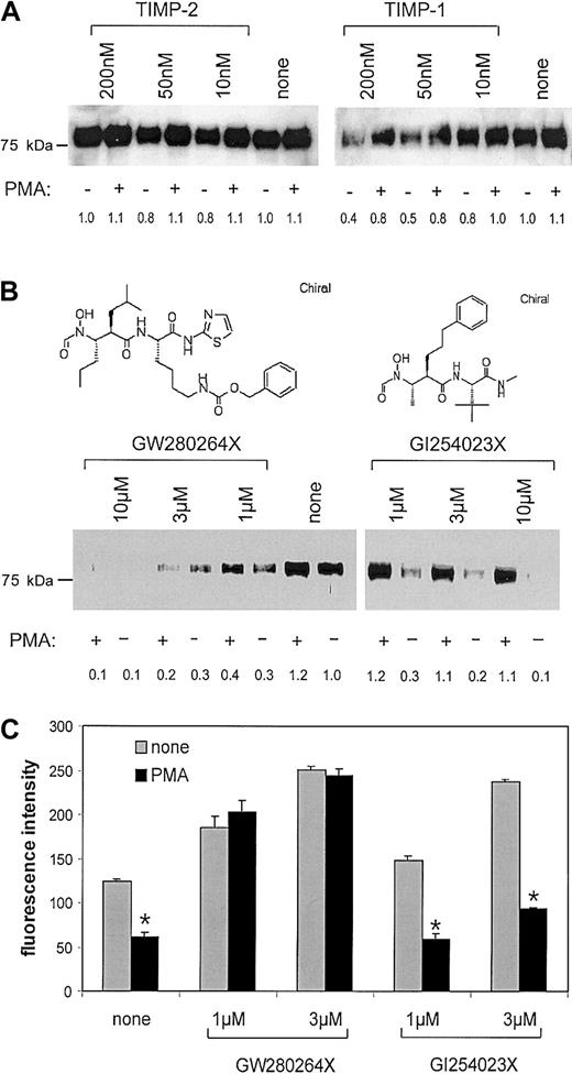 Figure 2. Effect of MP inhibitors on CX3CL1 cleavage in CX3CL1–ECV-304. (A-B) MP inhibitors differentially block constitutive and PMA-inducible release of the CX3CL1 ectodomain: CX3CL1–ECV-304 cells were treated with various concentrations of the natural metalloproteinase inhibitors TIMP-1 or TIMP-2 (A) or hydroxamate inhibitors (mixed ADAM10/TACE inhibitor GW280264X or selective ADAM10 inhibitor GI254023X) (B). Subsequently, cells were stimulated with 200 ng/mL PMA or left unstimulated. Generation of soluble CX3CL1 was analyzed by Western blotting of the conditioned media using a specific antiserum against CX3CL1. One representative of 3 independent experiments is shown. The CX3CL1-specific signal intensity for each lane was quantified by densitometry and expressed in relation to the control representing CX3CL1 released from unstimulated cells in the absence of inhibitor. (C) MP inhibitors differentially restore CX3CL1 surface expression: CX3CL1–ECV-304 cells were left unstimulated or stimulated with 200 ng/mL PMA in the presence and absence of mixed ADAM10/TACE inhibitor GW280264X or selective ADAM10 inhibitor GI254023X (both 1 and 3 μM). After 1 hour CX3CL1 surface expression was assayed by flow cytometry, and the CX3CL1-specific fluorescence signal was recorded as median fluorescence intensity (MFI) and calculated as mean and SD of triplicates performed in a representative of 3 independent experiments.