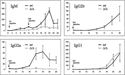 Figure 1. Humoral response of hs3b/hs4-deficient mice immunized with ovalbumin. ELISA analysis of ovalbumin-specific immunoglobulin isotype secretion in sera of 8-week-old immunized mice. Antibody levels are expressed in arbitrary units by comparison with a control serum; time after immunization is indicated in days. Each point is the mean of serum determinations from 4 Δhs3b4 homozygous (gray curve) or wt control animals (black curve). The amount of ovalbumin-specific immunoglobulin was quantified by curve comparison with a pool of sera from ovalbumin-immunized wt mice. This experiment is representative of 2 independent experiments.
