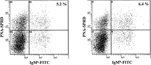 Figure 2. Analysis of splenocytes for expression of the mutated (a allotype) and the wt (b allotype) IgH alleles. Splenocytes were analyzed simultaneously for their strong or their low expression of PNA and for their expression of either the BCR of IgM a allotype or IgM b allotype.
