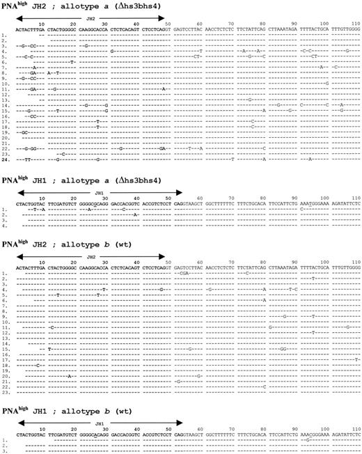 Figure 3. FR4/downstream intron sequences obtained from both IgH alleles in aΔhs3b/hs4/bwt mice.