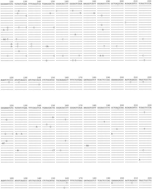 Figure 3. FR4/downstream intron sequences obtained from both IgH alleles in aΔhs3b/hs4/bwt mice.