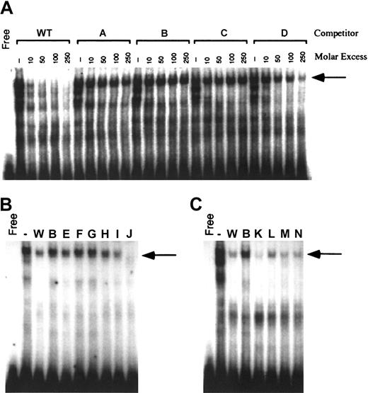 Figure 3. Generation of specific H4IIEC3 nuclear protein–DNA complexes by the sequences from –81 to –61 of the rat carboxylase gene 5′-flanking region. Panel A shows cold competitor wild-type (WT) or mutant oligonucleotides with mutations made in groups of 3 adjacent bases (A, B, C, D) were added in the molar excesses indicated above each lane. Panel B shows cold competitor WT, B, or mutant oligonucleotides with mutations made in groups of 2 adjacent bases (E, F, G, H, I, J) were added in 100-fold molar excess, as indicated above each lane. Panel C shows cold competitor WT, B, or mutant oligonucleotides with mutations made outside the 12-bp core sequence, in groups of 2 adjacent bases (K, L, M, N), were added in 100-fold molar excess, as indicated above each lane. The arrow in all cases indicates the position of the upper complex referred to in “Results” and “Discussion.” Free indicates no added nuclear protein; (–), no added competitor.