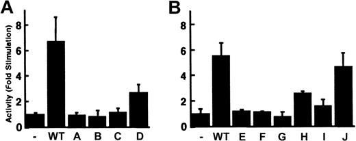 Figure 5. Enhancement of RCBX64 transcriptional activity by double-stranded oligonucleotides containing the 12-bp motif. A single copy of each double-stranded oligonucleotide (Table 1) was subcloned into the BglII site of RCBX64 in the forward direction as indicated below the figure. The transcriptional activity of each plasmid was determined in H4IIEC3 cells. The activity is shown as the average fold-stimulation relative to RCBX64 without an oligonucleotide (–), n = 3. Error bars indicate SD. (A) WT and 3-bp mutants A through D. (B) WT and 2-bp mutants E through J.