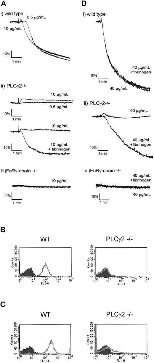 Figure 2. GPVI agonists induce fibrinogen binding to integrin αIIbβ3 but not secretion in FcRγ-chain–/– platelets. (A,D) Washed platelets from wild-type (i), PLCγ2–/– (ii), and FcRγ-chain–/– (iii) mice were stimulated with indicated concentrations of CRP (A) or 40 μg/mL convulxin (D) for 5 minutes in the presence or absence of fibrinogen (200 μg/mL). (B) Washed platelets from wild-type (WT) and PLCγ2–/– mice were stimulated without (shaded area) or with (unshaded area) 20 μg/mL CRP and incubated with FITC-labeled anti–P-selectin antibody for 10 minutes. Fluorescence was analyzed by flow cytometry. (C) Washed platelets from wild-type (WT) and PLCγ2–/– mice were stimulated without (shaded area) or with (unshaded area) 20 μg/mL CRP in the presence of fibrinogen (200 μg/mL) and incubated with FITC-labeled anti-fibrinogen antibody for 20 minutes. Fluorescence was analyzed by flow cytometry.