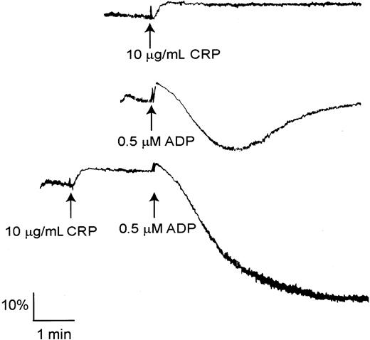 Figure 3. CRP stimulates shape change and undergoes synergy with ADP in PLCγ2–/– platelets. Washed platelets from PLCγ2–/– mice were stimulated with 10 μg/mL CRP (upper trace) or 0.5 μM ADP (middle trace) for 5 minutes. Washed platelets from PLCγ2–/– mice were stimulated with 0.5 μM ADP for 2 minutes and then stimulated with 10 μg/mL CRP for 5 minutes (lower trace). The data are representative of 3 to 5 experiments.