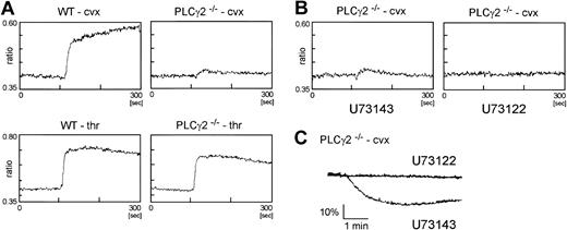 Figure 6. PLCγ2–/– platelets show a limited Ca2+ increase, which is inhibited by U73122. (A) Washed platelets from wild-type (WT) and PLCγ2–/– mice were stimulated with 40 μg/mL convulxin (cvx) or 1 U/mL thrombin (thr). Intracellular Ca2+ was measured by the ratio of Fura-PE3 emissions. (B) Platelets were preincubated with 1 μM U73142 or 1 μM U73122 for 5 minutes. Then they were stimulated and Ca2+ was measured as described for panel A. (C) Washed platelets from PLCγ2–/– were preincubated with 4 μM U73143 or 4 μM U73122 for 5 minutes and stimulated with 40 μg/mL convulxin for 5 minutes in the presence of fibrinogen (200 μg/mL).