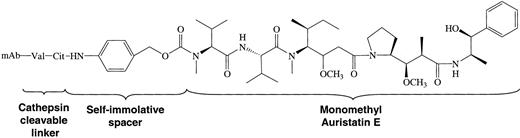 Figure 1. Structure of the cAC10-vcMMAE system. Conjugates were prepared by controlled partial reduction of internal cAC10 disulfides with DTT, followed by addition of the maleimide-vc-linker-MMAE. Stable thioether-linked ADCs were formed with the addition of the free sulfhydryl groups on the mAbs to the maleimides present on the drugs. cAC10-vcMMAE and the cIgG-vcMMAE used in these studies contained approximately 8 drugs/mAb.