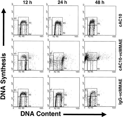 Figure 5. Effects of cAC10-vcMMAE on cell cycle and apoptosis. CD30+, L540 cells were cultured in complete media containing a saturating level (1 μg/mL) of cAC10, cAC10-vcMMAE, or an isotype-matched irrelevant cIgG-vcMMAE. At 12, 24, and 48 hours after exposure, cells were labeled with bromodeoxyuridine for 30 minutes to detect nascent DNA synthesis and with propidium iodine to detect total DNA content, and they were analyzed for active DNA synthesis and cell cycle position at the time of harvest by flow cytometry. Quadrants R2 to R4 correspond to G1, S-phase, and G2/M-phase cells, respectively. R1 and R5 correspond to sub-G1 fragmented DNA typical of apoptotic cells.