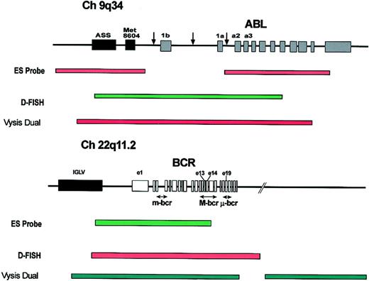 Figure 6. Commercially available FISH probe systems for the detection of derivative chromosome 9 deletions. Structure of the ABL and BCR loci showing the common breakpoints (arrows) and the probes used in the commercially available probe systems: the extra signal (ES), D-FISH, and dual color, dual fusion detection system (“Methods for detecting deletions”). ASS indicates arginine succinate synthetase; Met 8604, Met 8604 gene; and IGLV, immunoglobulin lambda light chain locus.