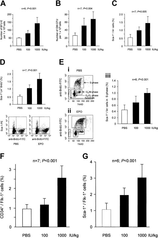 Figure 1. Effect of Epo treatment on bone marrow stem and progenitor cells. Mice were treated with human recombinant Epo for 3 days. Epo dose-dependently increased the number of erythroid CFUs in mice (A). A similar increase in response to treatment with Epo was observed for GM-CFUs (B). FACS analysis showed that Epo significantly enhanced the total number of lin–/sca-1+ stem cells (C). Further analysis using BrdU uptake revealed that Epo treatment caused a significant increase in the percentage of proliferating lin–/sca-1+ stem cells (D). (E) The percentage of total bone marrow cells that are in S-phase was significantly enhanced by Epo (iii). Cells in S-phase are defined as a typical horseshoelike population after staining with BrdU and 7AAD (i-ii). (F) The stimulatory effect of Epo on stem cell proliferation caused a significant increase in the percentage of EPCs defined as CD34+/flk-1+ cells. (G) Murine EPCs can also be identified by positive staining for sca-1 and flk-1. Results for sca-1+/flk-1+ cells showed a similar increase after 3 days of treatment with Epo. Data are shown as means ± SD.