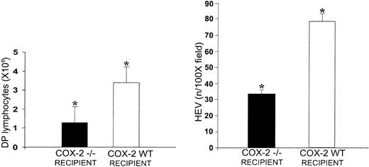 Figure 3. COX-2–dependent angiogenesis is instrumental in supporting extrathymic T-cell development in the OM+ LN. Fetal liver cells from OM+ Ly5.1+ mice were injected in adult thymectomized irradiated COX-2–/– mice and COX-2+ littermates. The number of CD4+CD8+ T cells per mesenteric LN (left panel) and the mean number of CD62L ligand+ HEVs per 100 × field (right panel) were assessed on day 90 after transplantation. There were 3 mice per group. *P < .001, COX-2–/– mice versus COX-2+ littermates.