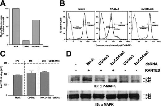 Figure 5. Influence of CD44 expression level on RANTES cell interaction. HeLa-CD4 cells were analyzed 3 days after transfection with CD44e3 dsRNA, invCD44e3 dsRNA, or mock-treated cells for CD44 mRNA and protein expression. (A) CD44 mRNA expression was quantified with real-time RT-PCR. CD44-specific mRNA is depicted relative to mock-transfected control. One of 4 individual experiments is shown. (B) CD44 protein expression was monitored by FACS analysis. The same culture as analyzed in panel A is shown. One of 15 individual experiments is shown. Percentages of cells with low and high CD44 expression levels are indicated. (C) Three days after transfection with CD44e3 dsRNA, invCD44e3 dsRNA, or mock transfection, HeLa-CD4 cells were treated for 24 hours with 640 nM RANTES. CD44 expression and RANTES binding to cells was then monitored by FACS analysis using PE-labeled anti-CD44 and anti-RANTES mAbs. MFIs for RANTES and CD44 expression are depicted. (D) HeLa-CD4 cells, 3 days after transfection with indicated dsRNAs, were treated (+) for 30 minutes with 640 nM RANTES or were mock treated (–). Cell extracts were prepared, separated on 12% SDS-PAGE, and analyzed by immunoblotting for the activation of p44/p42 MAPK using anti-P-specific p44/p42 MAPK antibodies. The blots were then stripped and reprobed with anti-p44/p42 MAPK antibodies to confirm equal loading of samples.